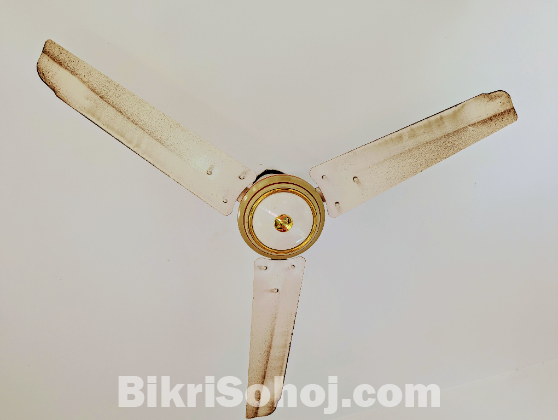 Celling fan 56